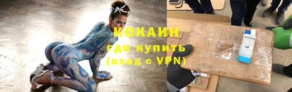 соль ск Михайлов