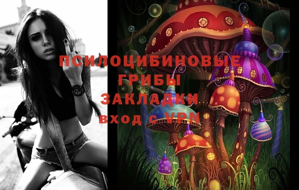 экстази Богородицк