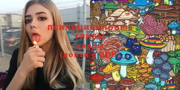 экстази Богородицк