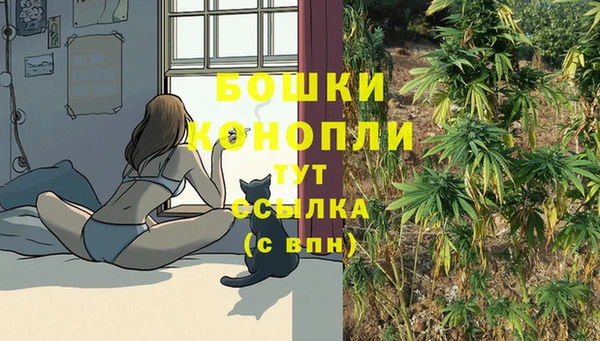 шишки Богородск