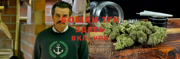 экстази Богородицк
