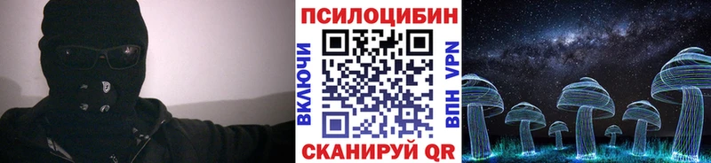 Галлюциногенные грибы Psilocybe  hydra ССЫЛКА  Орехово-Зуево 